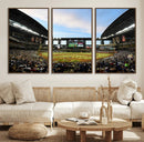 Arizona Diamondbacks Team Print - Phoenix Chase Field