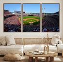 Cincinnati Reds Baseball Canvas Print - American Ball