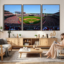 Cincinnati Reds Baseball Canvas Print - American Ball