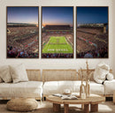 Kyle Field Wall Art Print | Large Texas A&M Aggies Football