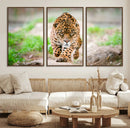 Leopard on the Prowl - Stunning Large Framed Leopard Wall