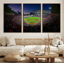 Houston Astros Baseball Print Canvas - Houston Minute Maid