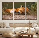 Sleeping Fox Wall Art Canvas Print, Farmhouse Wall Decor and