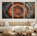 Wood Grain Canvas Wall Art - Framed Abstract Tree Ring