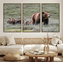Wildlife Photography of 399 Grizzly Bear Cubs | Queen of the