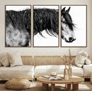 Black Horse Wall Art Canvas Print – Elegant Farmhouse Decor