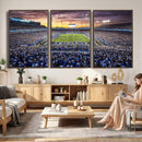 Kroger Field Wall Art Print - Kentucky Stadium Wall Art