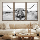 Highland Cow Wall Art Canvas Print – Black and White Western