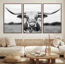 Highland Cow Wall Art Canvas Print – Black and White Western