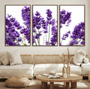 Lavender Flower Wall Art Canvas Print by MyGreatCanvas | Canvas Wall Art Prints | Photo Prints & Wall Decor