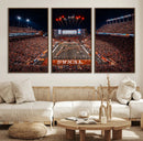 Texas Stadium Night Game Wall Art Canvas Print – Vibrant