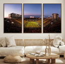 Iowa Hawkeyes Kinnick Stadium Wall Art Canvas Print, Framed