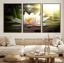 Lotus Flower Wall Art Canvas Print, Water Lily Large Wall