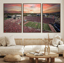 Indiana Memorial Stadium Wall Art Canvas Print, Framed