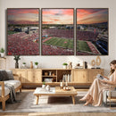 Indiana Memorial Stadium Wall Art Canvas Print, Framed