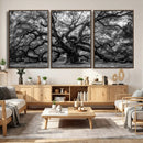 Black and White Old Angel Oak Tree Wall Art Canvas Print by MyGreatCanvas | Canvas Wall Art Prints | Photo Prints & Wall Decor