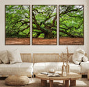Majestic Oak Tree Wall Art Canvas Print – Ancient Branches by MyGreatCanvas | Canvas Wall Art Prints | Photo Prints & Wall Decor