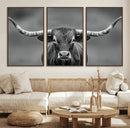 Texas Longhorn Wall Art Canvas Print – Framed Western Bull