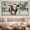 Texas Longhorn Wall Art Canvas Print – Framed Spotted Bull