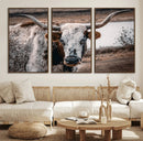 Texas Longhorn Wall Art Canvas Print – Framed Spotted Bull