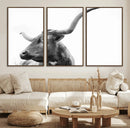Longhorn Wall Art Canvas Print – Framed Monochrome Ranch Cow