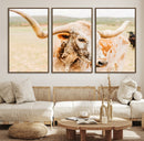 Texas Longhorn Wall Art Canvas Print – Framed Speckled Cow