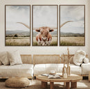 Texas Longhorn Wall Art Canvas Print – Framed Western Cow