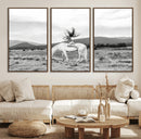 White Horse Wall Art Canvas Print – Framed Woman Rider