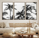 Palm Wall Art Canvas Print – Framed Monochrome Tropical