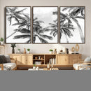 Black and White Palm Wall Art Canvas Print – Framed