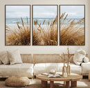 Beach Grass Wall Art – Framed Coastal Dunes Canvas Artwork, by MyGreatCanvas | Canvas Wall Art Prints | Photo Prints & Wall Decor