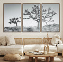 Joshua Tree Wall Art Canvas Print – Framed Black White
