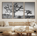 Joshua Tree Wall Art Canvas Print – Framed Monochrome Desert
