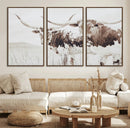 Longhorn Wall Art Canvas Print – Framed Western Cow Rustic