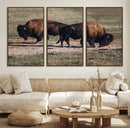 Bison Wall Art Canvas Print – Framed Western Wildlife Modern by MyGreatCanvas | Canvas Wall Art Prints | Photo Prints & Wall Decor