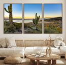 Saguaro Cactus Wall Art Canvas Print – Framed Desert Sunset by MyGreatCanvas | Canvas Wall Art Prints | Photo Prints & Wall Decor