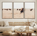 Bison Herd Wall Art Canvas Print – Framed Western Prairie