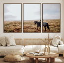 Cowboy Wall Art Canvas Print – Framed Western Rustic Ranch