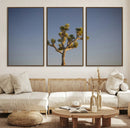 Joshua Tree Wall Art Canvas Print – Framed Southwestern