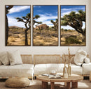 Joshua Tree Desert Wall Art Canvas Print – Framed