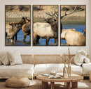 Wild Elk Wall Art Canvas Print – Framed Neutral Wildlife