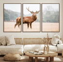 Vintage Wildlife Wall Art Canvas Print – Misty Landscape