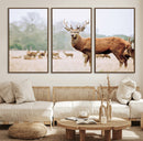 Rustic Deer Wall Art Canvas Print – Forest Woodland Stag