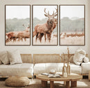 Rustic Nature Wall Art Canvas Print – Stag Woodland Framed