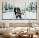 Moose Snow Wall Art Canvas Print – Framed Winter Wildlife