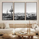 Saguaro Cactus Wall Art Canvas Print – Framed Monochrome