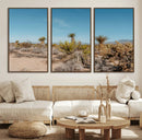 Joshua Tree Wall Art Canvas Print – Framed Desert Landscape