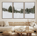 Frosty Pines Wall Art Canvas Print – Framed Silent Snowfall