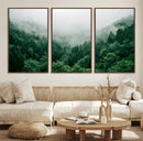 Misty Green Forest Canvas Print – Framed Serene Foggy Pine