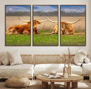 Texas Longhorn Pair Wall Art Canvas Print – Peaceful Rustic by MyGreatCanvas | Canvas Wall Art Prints | Photo Prints & Wall Decor